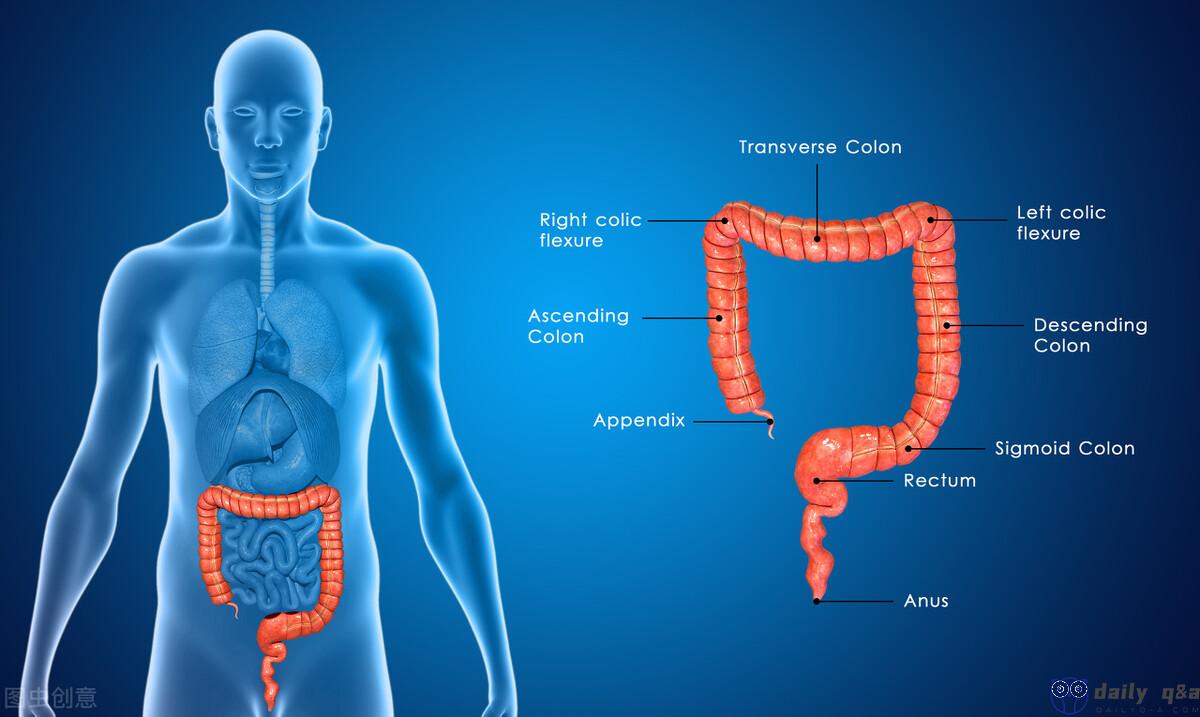 When colorectal cancer comes home, the body may issue 5 warnings!  These 7 types of high-risk groups should pay attention in advance